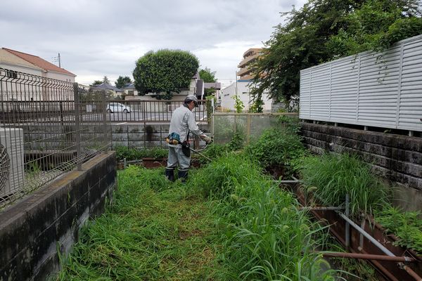 ヤマモモ公園脇