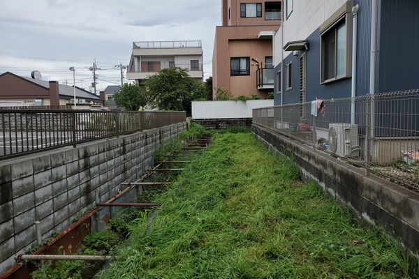 ヤマモモ公園脇