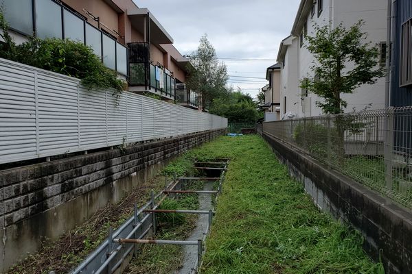 ヤマモモ公園脇