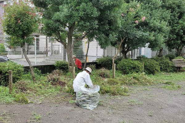 ヤマモモ公園脇