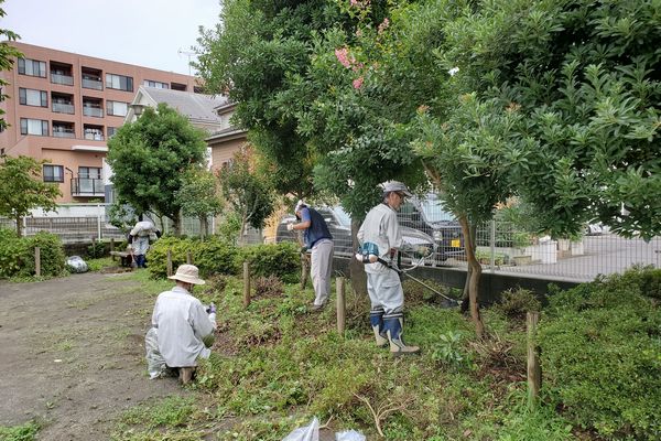 ヤマモモ公園脇