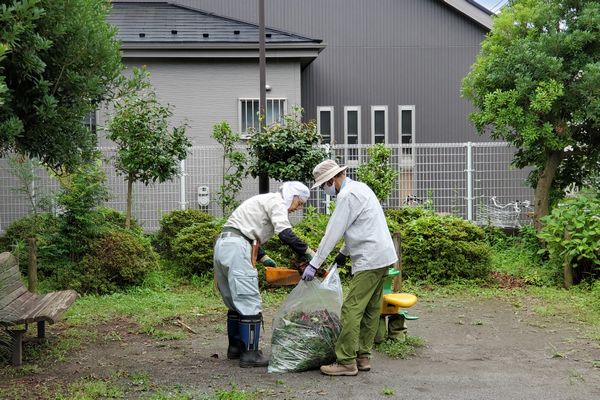 ヤマモモ公園脇