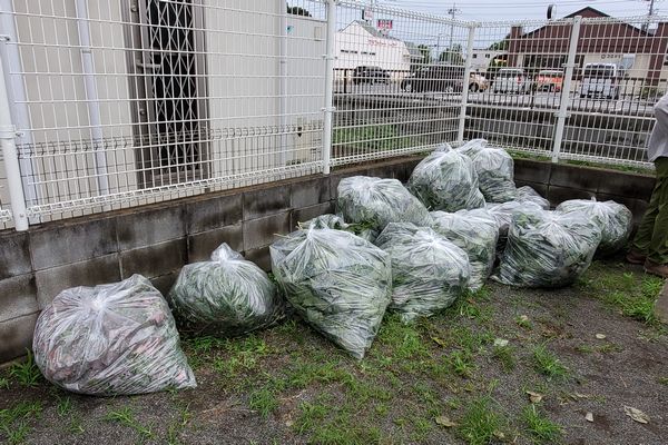 ヤマモモ公園脇