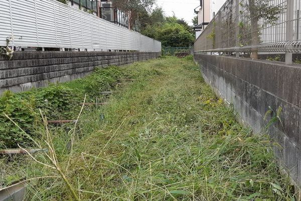 ヤマモモ公園脇