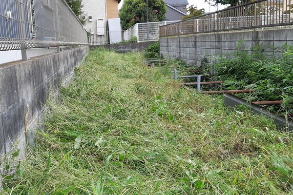 ヤマモモ公園脇