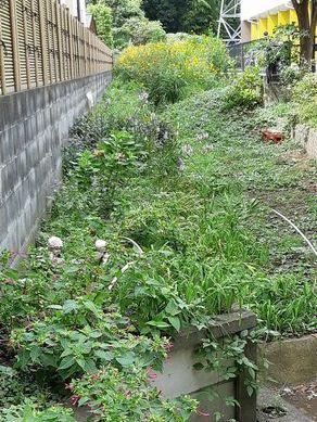 北町地域センター