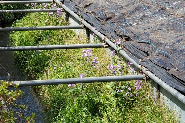 並木町公園西側
