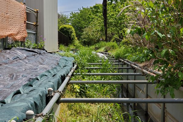 並木町公園西側