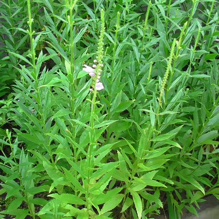 北町地域センター