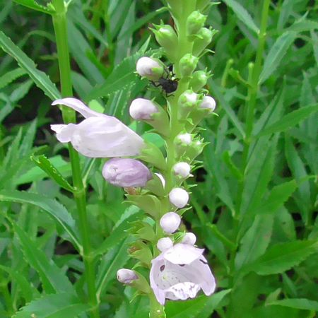 北町地域センター