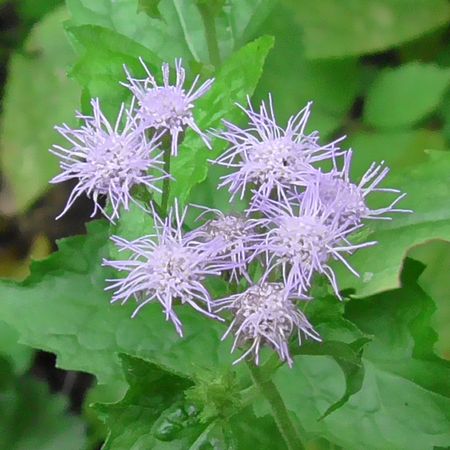 北町地域センター