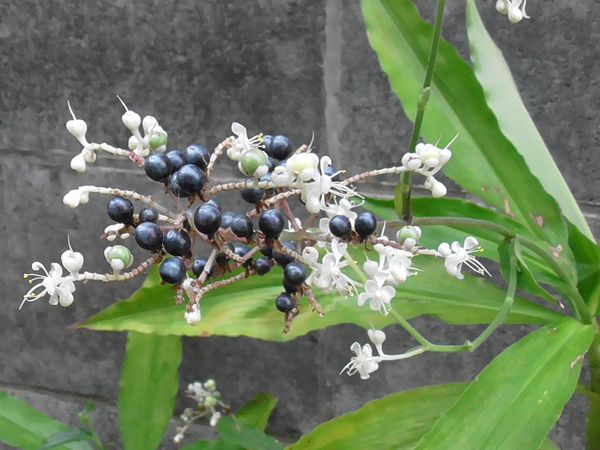 北町地域センター