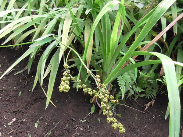 北町地域センター