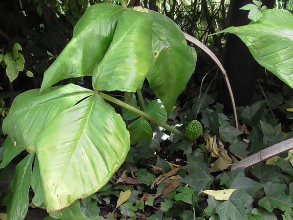 北町地域センター