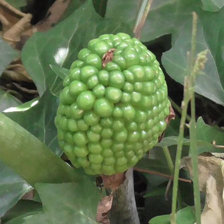 北町地域センター