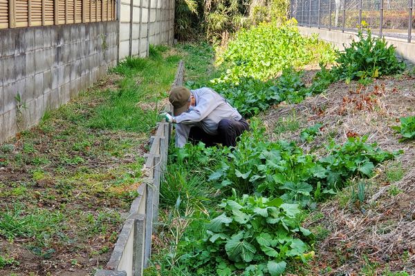 北町地域センター