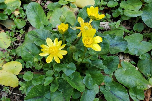 北町地域センター