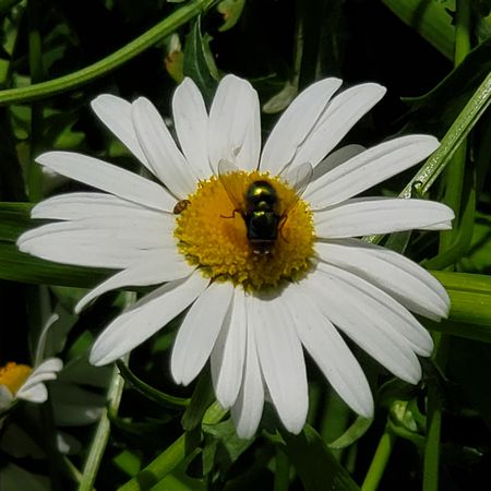 北町地域センター