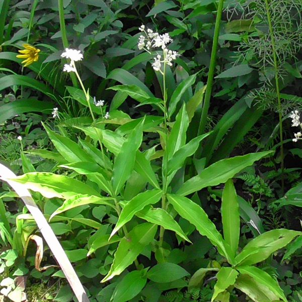 北町地域センター