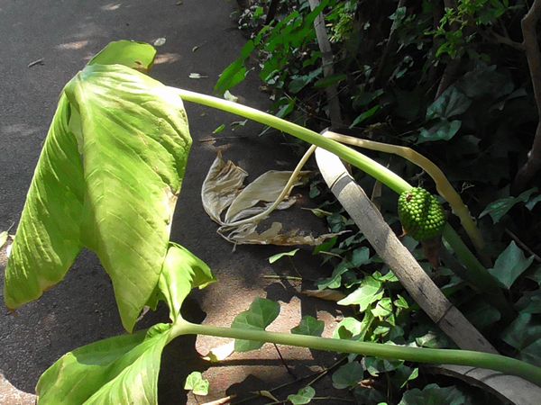 北町地域センター