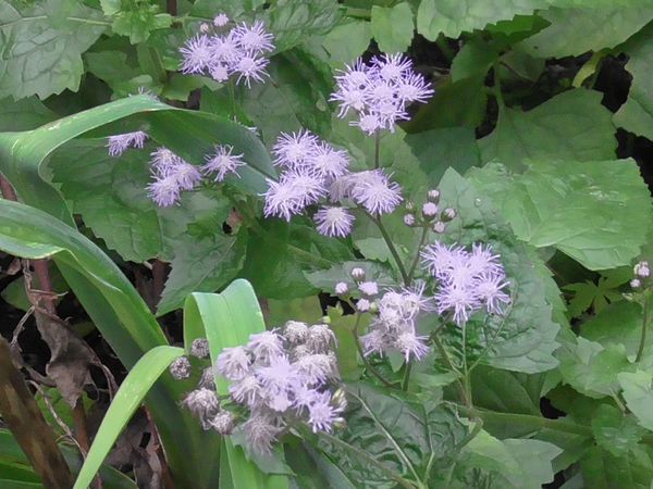 北町地域センター