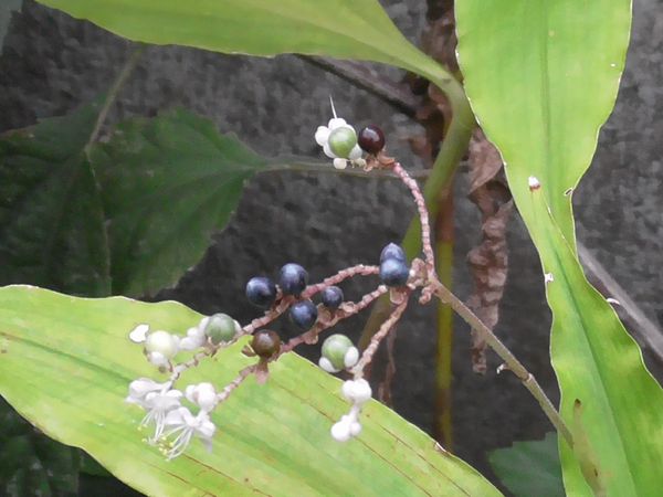 北町地域センター