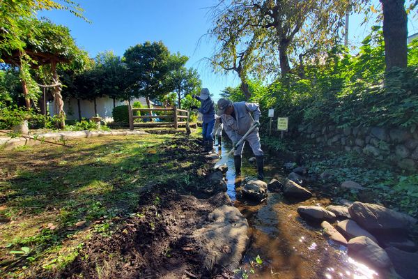最近の活動写真