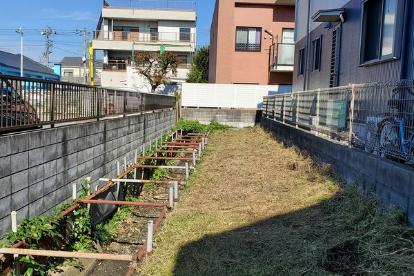 最近の活動写真