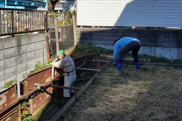 最近の活動写真