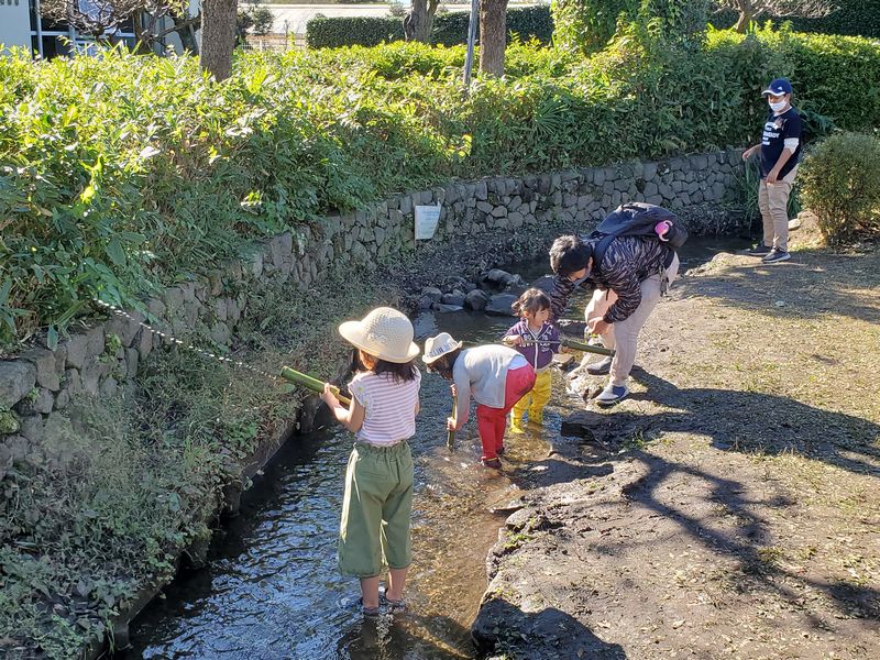 最近の活動写真