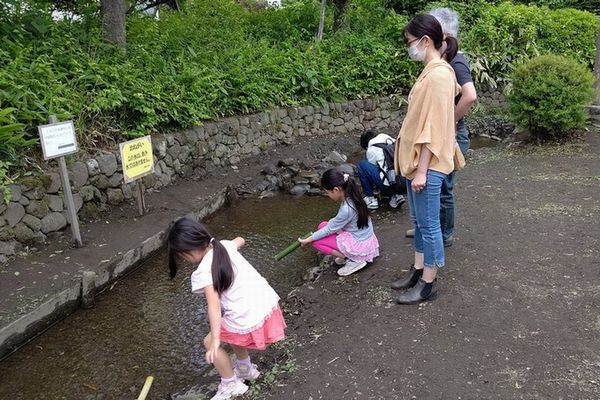 最近の活動写真