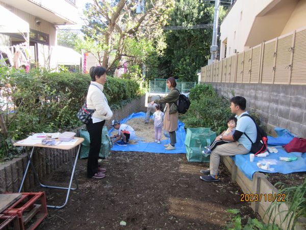 菜の花の種蒔き