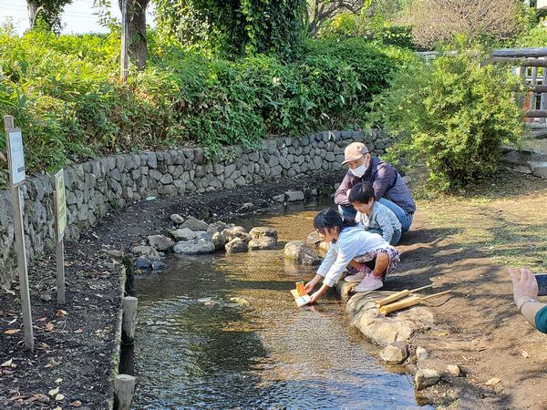 最近の活動写真
