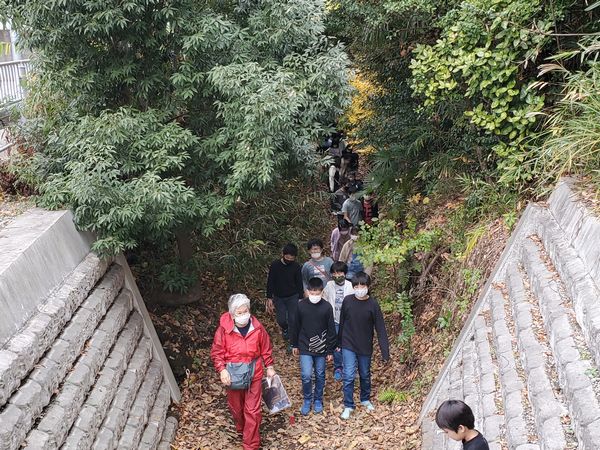 最近の活動写真